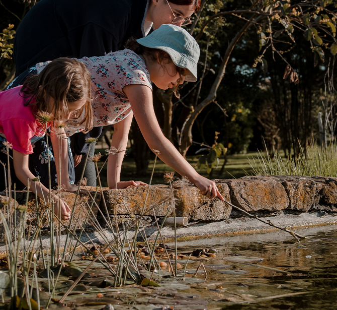 KIDS CLUB & SALA DE JUEGOS